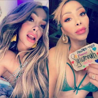 💎💕😇🦋💞😈👻☘🍭SYLVANNAH TU OSTENTOSA MUSA TRANSSEXUAL Puedes hacerme una video llamada y comprobar que soy la chica que est en la publicacin💎💕😇🦋💞😈👻👻🍭